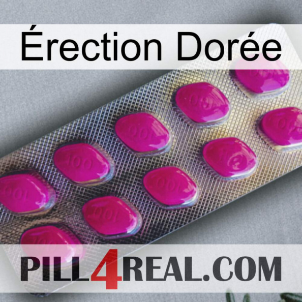 Érection Dorée 09.jpg
